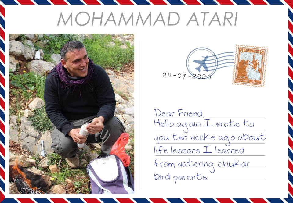 Mohammad Atari