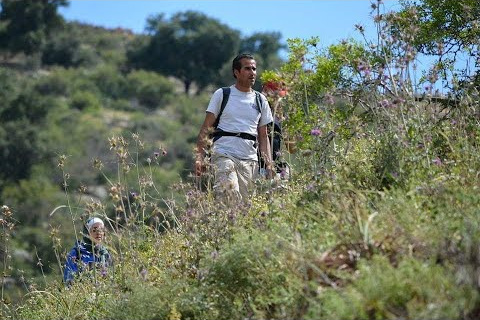 COVID-19 and Middle East Tourism: From the Peaks of 2019 to the Lows of 2020