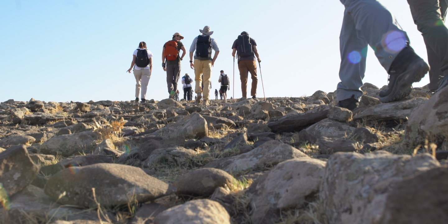 Walk with Us!